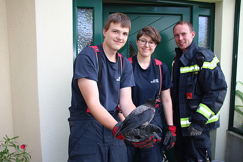 Bild 002 zum Bericht 1415