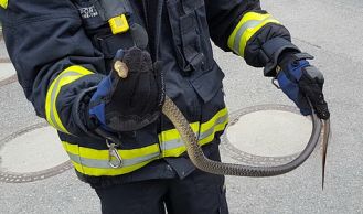 Vorschaubild: Arbeitsreicher Wochenabschluss