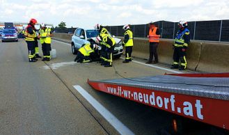 Vorschaubild: Feuerwehr-Löwe nach Verkehrsunfall im Einsatz