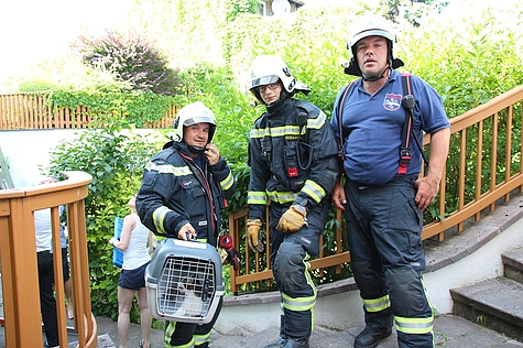 Bild 001 zum Bericht 1436