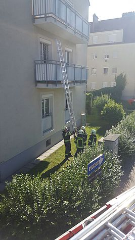 Bild 001 zum Bericht 1441