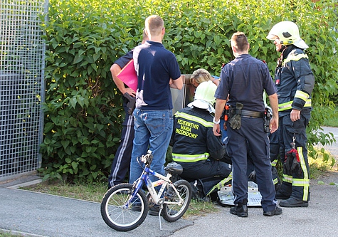 Bild 001 zum Bericht 1453