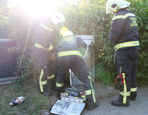 Bild 002 zum Bericht 1453