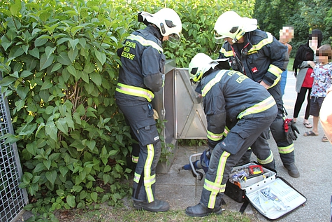 Bild 003 zum Bericht 1453