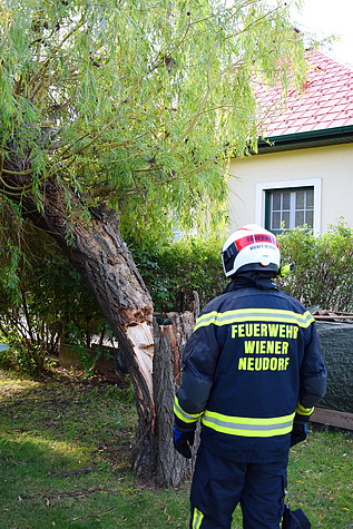Bild 002 zum Bericht 1458