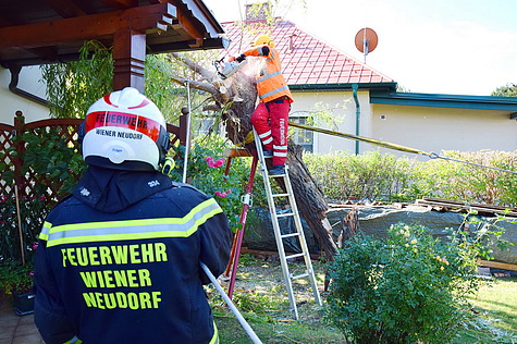 Bild 003 zum Bericht 1458