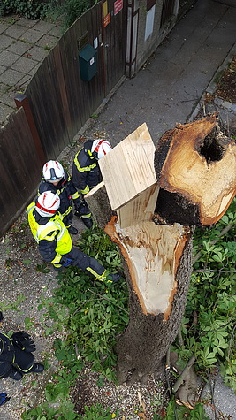 Bild 006 zum Bericht 1458