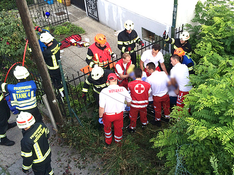 Bild 003 zum Bericht 1468