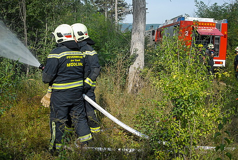 Bild 014 zum Bericht 1482