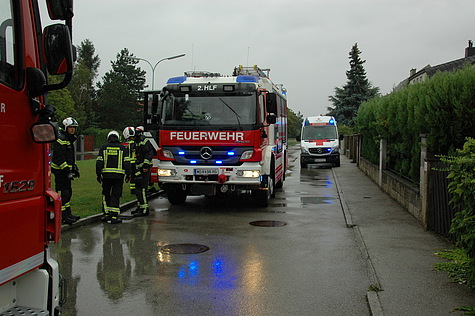 Bild 001 zum Bericht 1485
