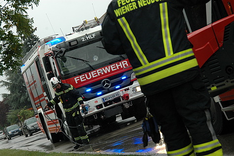 Bild 002 zum Bericht 1485