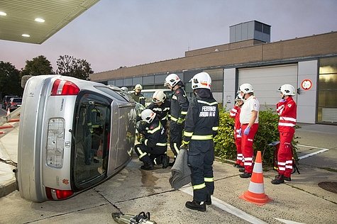Bild 011 zum Bericht 1490