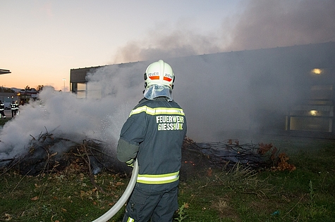 Bild 014 zum Bericht 1490