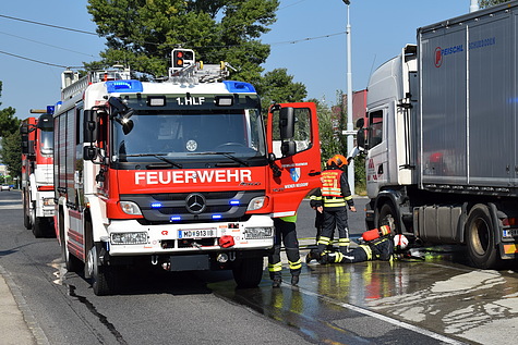 Bild 003 zum Bericht 1491