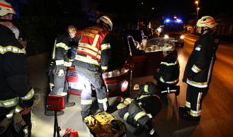 Vorschaubild: Tierrettung bei der FF Mödling