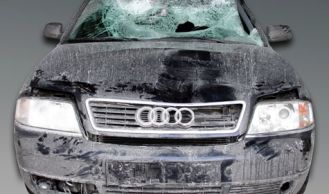 Vorschaubild: Todesmarsch auf der A2