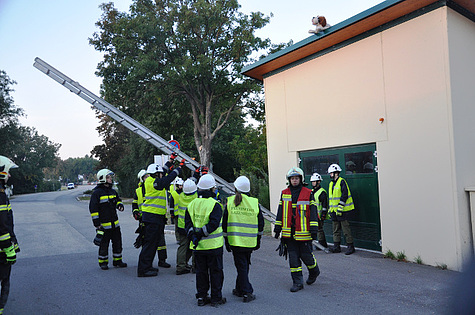 Bild 006 zum Bericht 1501