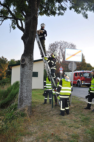 Bild 007 zum Bericht 1501