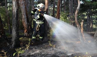Vorschaubild: Waldbrand hinter Gasthaus Bockerl