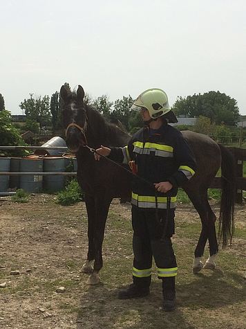 Bild 004 zum Bericht 1509