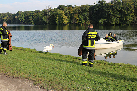 Bild 006 zum Bericht 1515