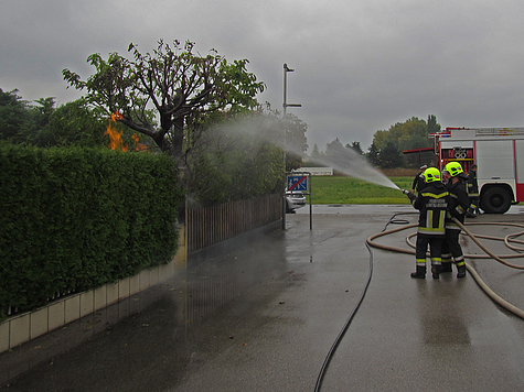 Bild 003 zum Bericht 1516