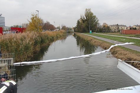 Bild 002 zum Bericht 1531