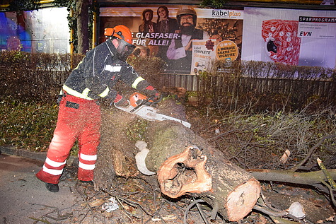 Bild 002 zum Bericht 1539