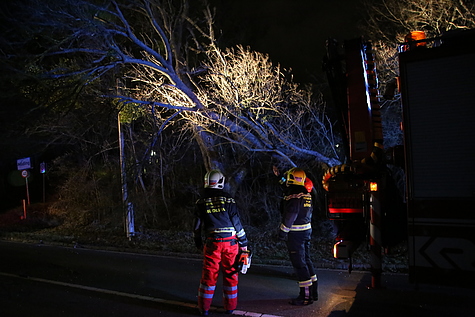 Bild 004 zum Bericht 1540