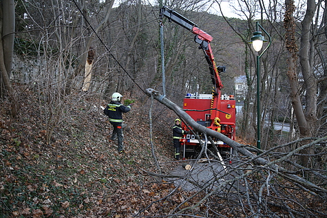 Bild 007 zum Bericht 1540