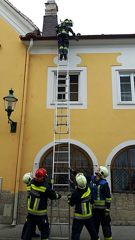 Bild 004 zum Bericht 1549