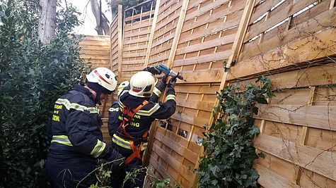 Bild 009 zum Bericht 1549