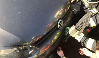 Vorschaubild: Tierrettung nach Verkehrsunfall