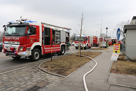 Bild 002 zum Bericht 1561