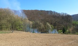 Vorschaubild: Flurbrand in Breitenfurt