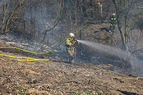 Bild 002 zum Bericht 1571