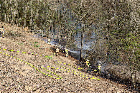 Bild 004 zum Bericht 1571