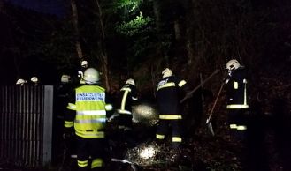 Vorschaubild: Feuerwehr verhindert Waldbrand