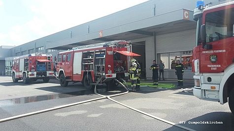 Bild 001 zum Bericht 1577