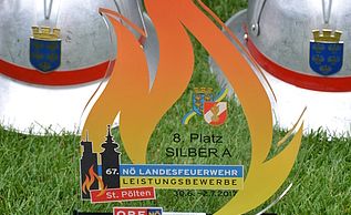 Vorschaubild: Landesbewerbe 2017
