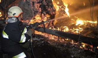 Vorschaubild: Münchendorf: Strohlager abgefackelt