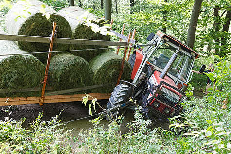 Bild 008 zum Bericht 1597