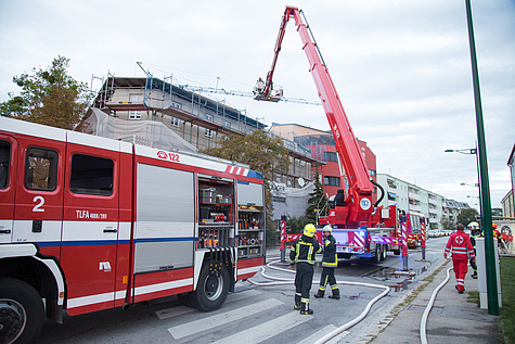 Bild 004 zum Bericht 1601