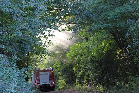 Bild 013 zum Bericht 1604