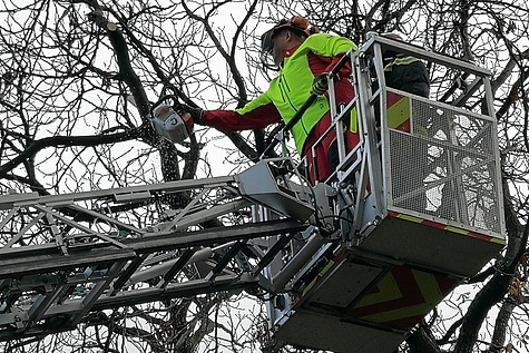 Bild 010 zum Bericht 1611