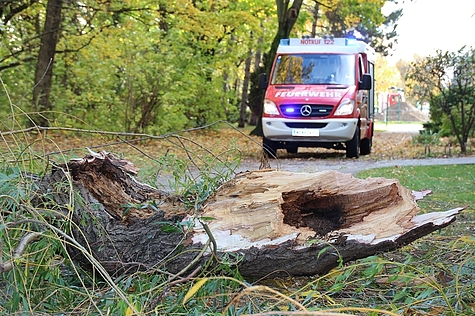 Bild 016 zum Bericht 1611