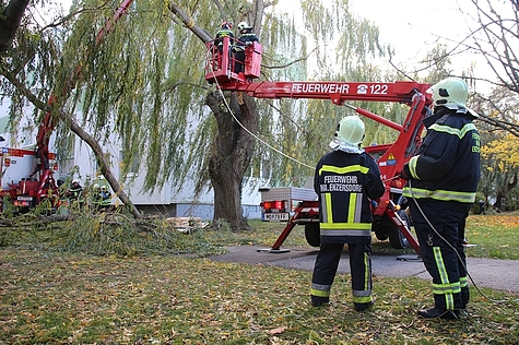 Bild 017 zum Bericht 1611