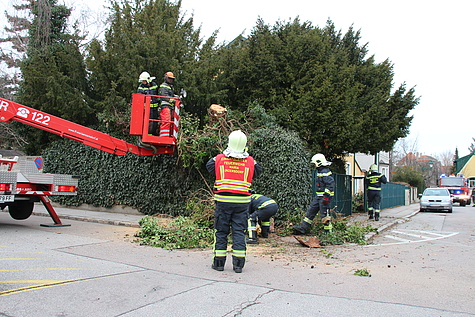 Bild 003 zum Bericht 1625