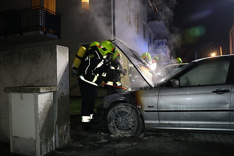 Bild 003 zum Bericht 1641