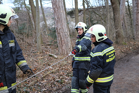 Bild 003 zum Bericht 1646